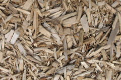 biomass boilers Rhosddu